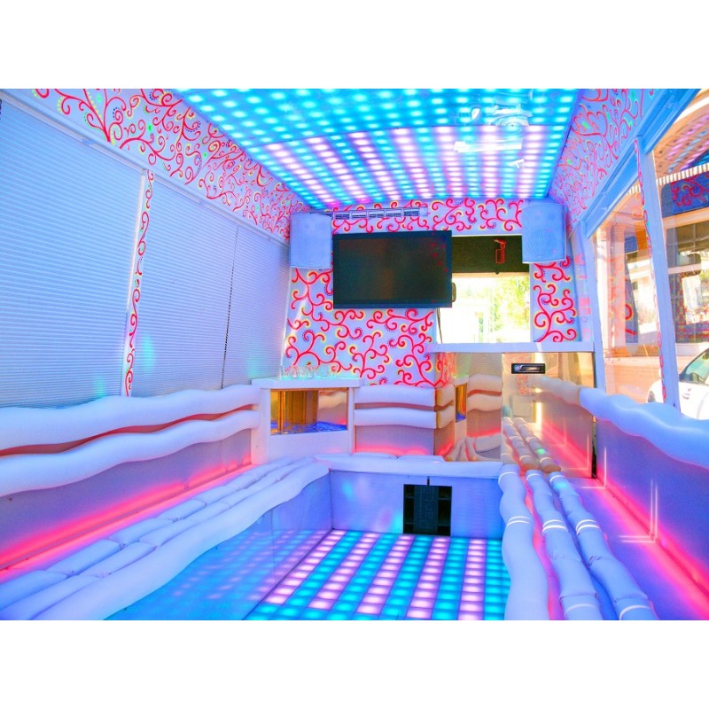 Party Bus "Avatar"