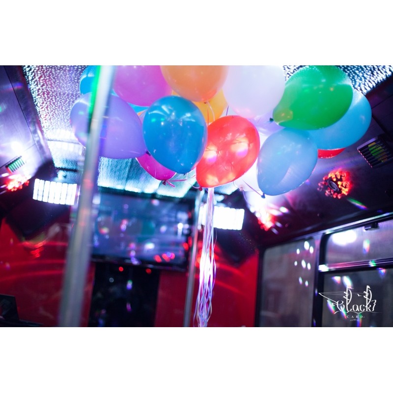 Party Bus "Vegas" Party Bus "Vegas"