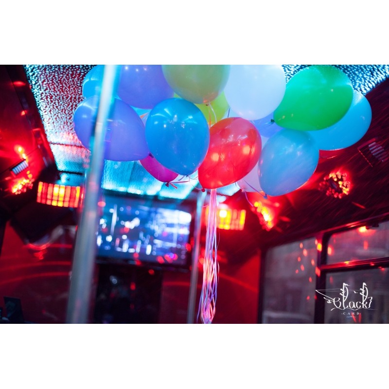 Party Bus "Vegas" Party Bus "Vegas"